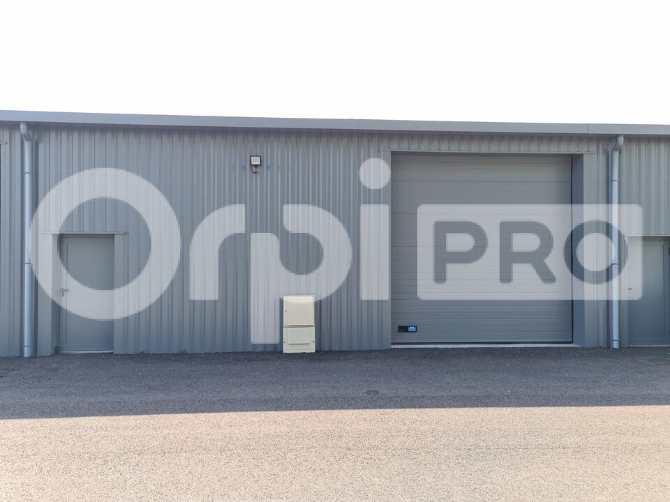 ORPI VIP BUSINESS LOCATION-LOCAL D'ACTIVITE-PONT_D'AIN-01