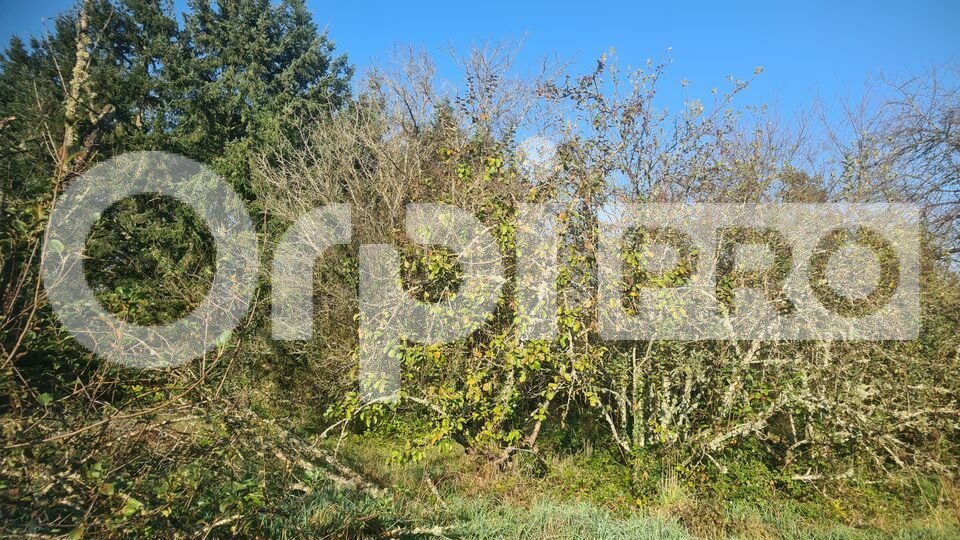 ORPI PROMISSIMO VENTE-TERRAIN-NERIS_LES_BAINS-03