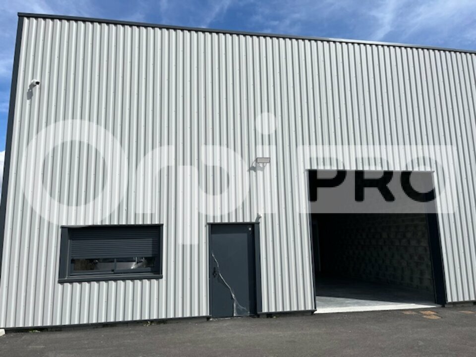 ORPI IMMTIM CABINET CHANDEAU LOCATION-LOCAL D'ACTIVITE-SAINTE_SOULLE-17