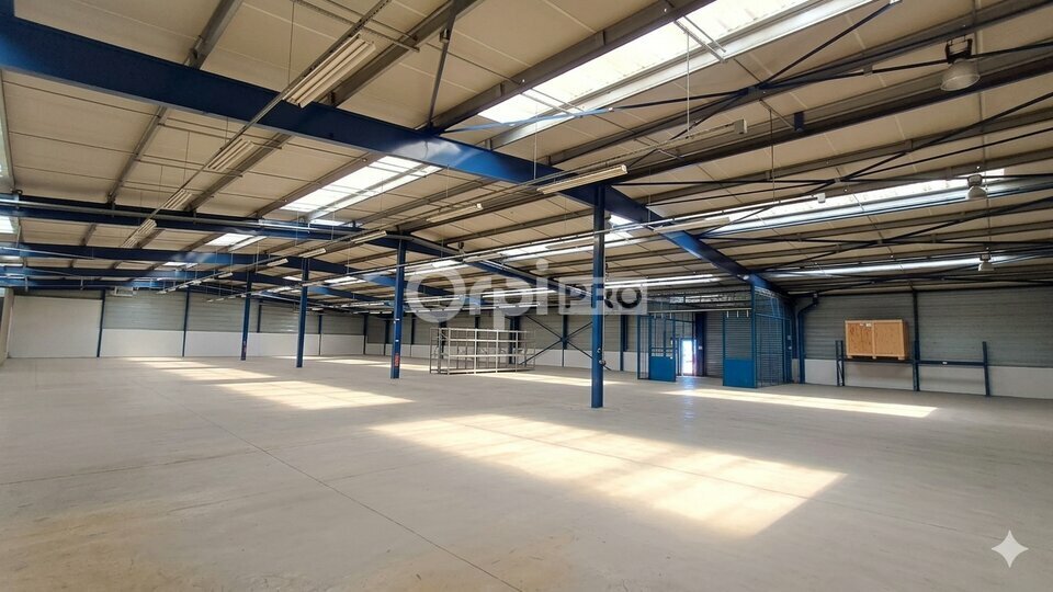 ORPI IMMOBILIERE DU LUY VENTE-LOCAL D'ACTIVITE-PAU-64
