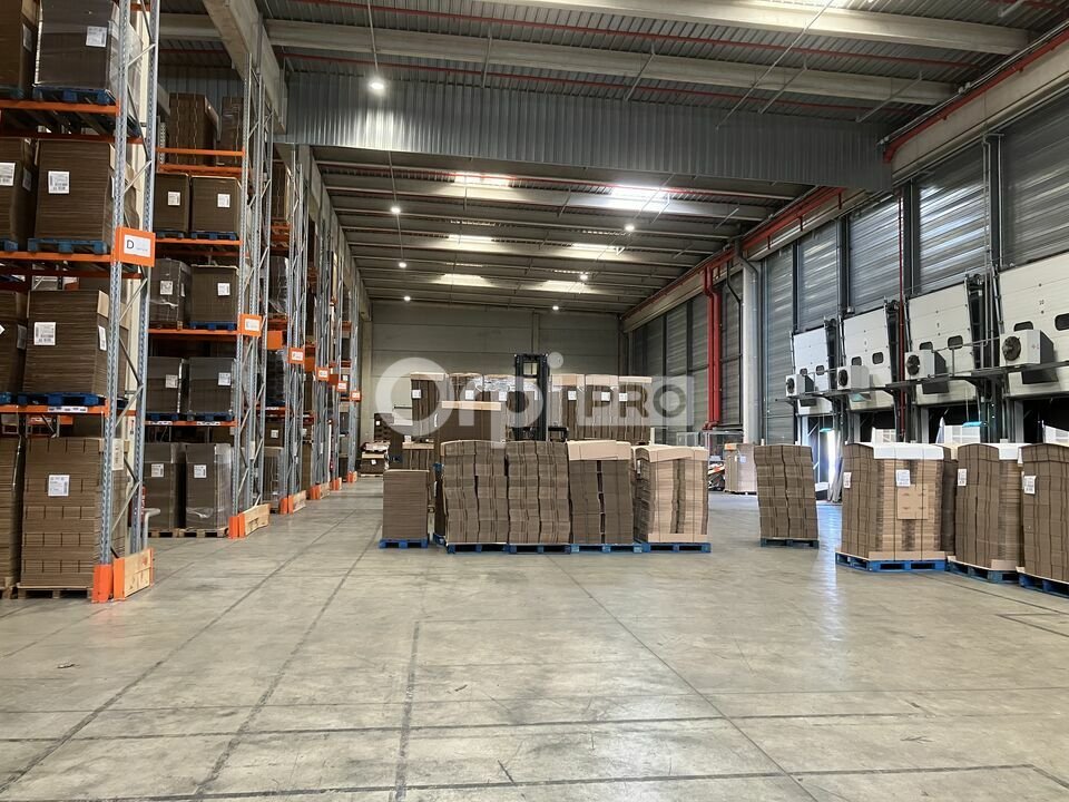 ORPI MYRIAD CONSEIL LOCATION-ENTREPOT-MIONS-69