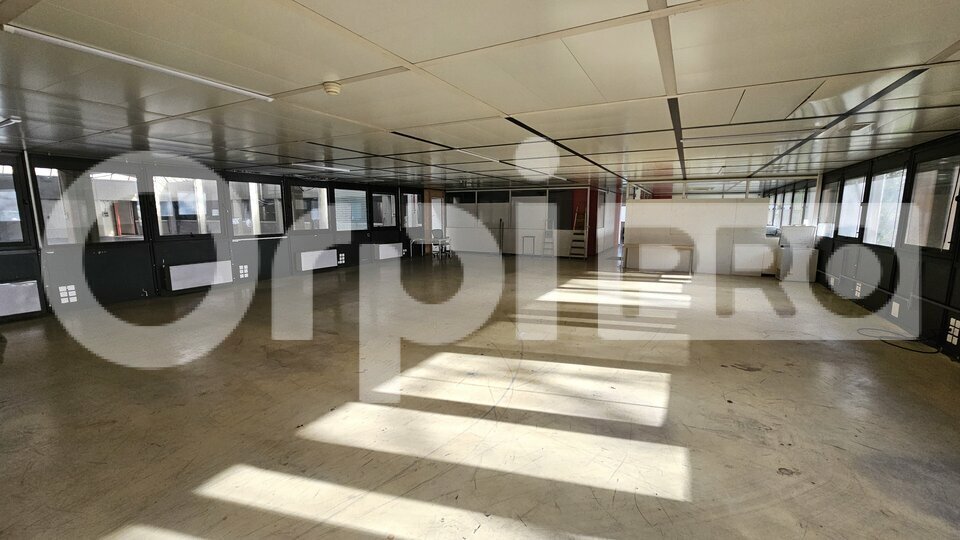 ORPI IMMO33 ENTREPRISE LOCATION-ENTREPOT-CANEJAN-33