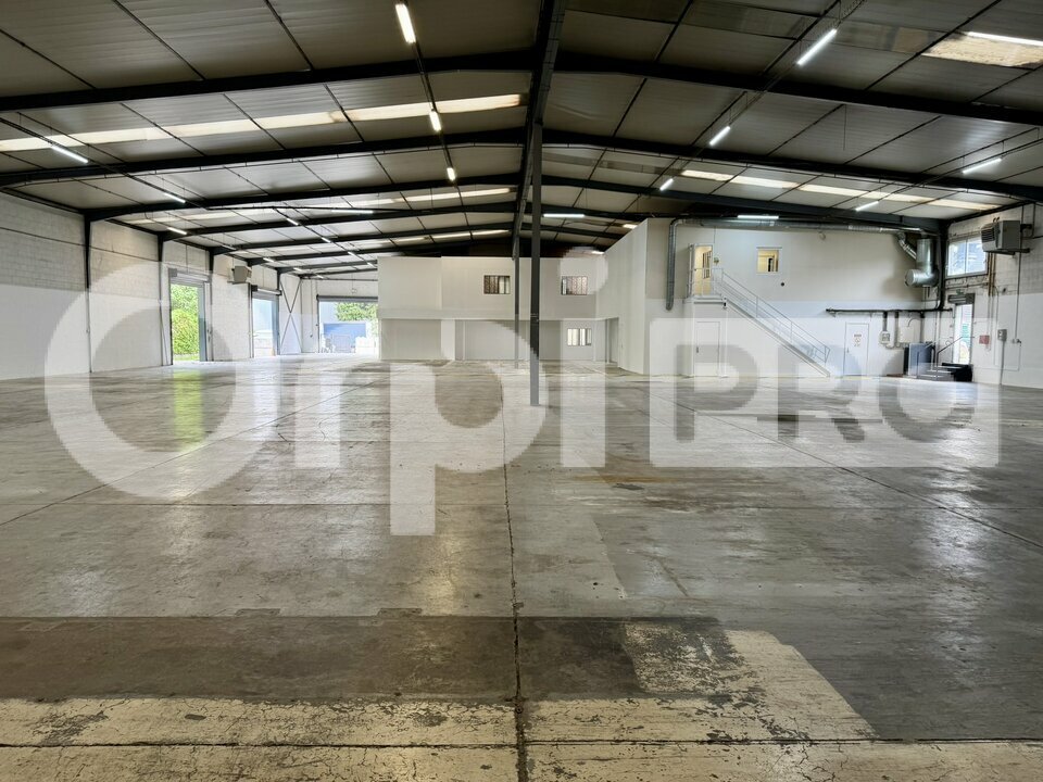 ORPI IMMO ENTRE PRO LOCATION-LOCAL D'ACTIVITE-MORANGIS-91