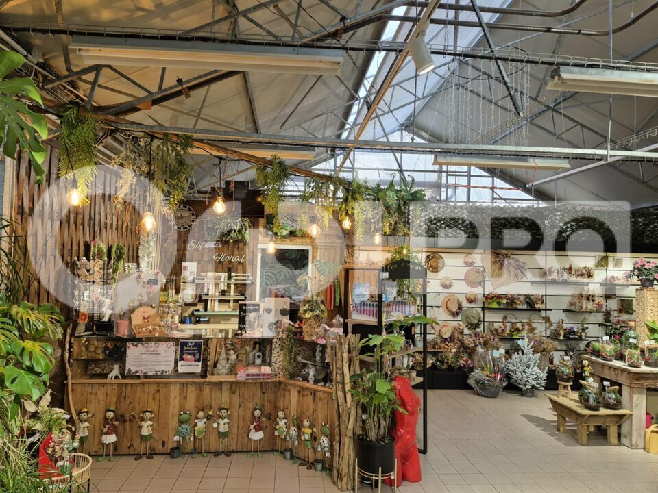 ORPI SARL COMPTOIR IMMOBILIER CHAMPENOIS VENTE-FONDS DE COMMERCE-EPERNAY-51