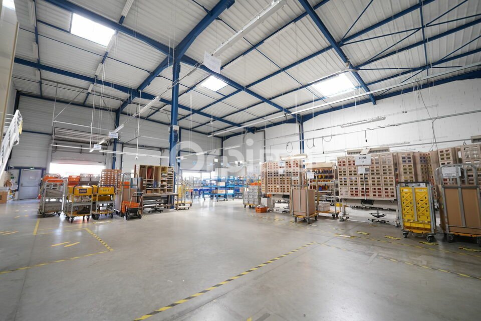 ORPI MYRIAD CONSEIL LOCATION-LOCAL D'ACTIVITE-DAGNEUX-01