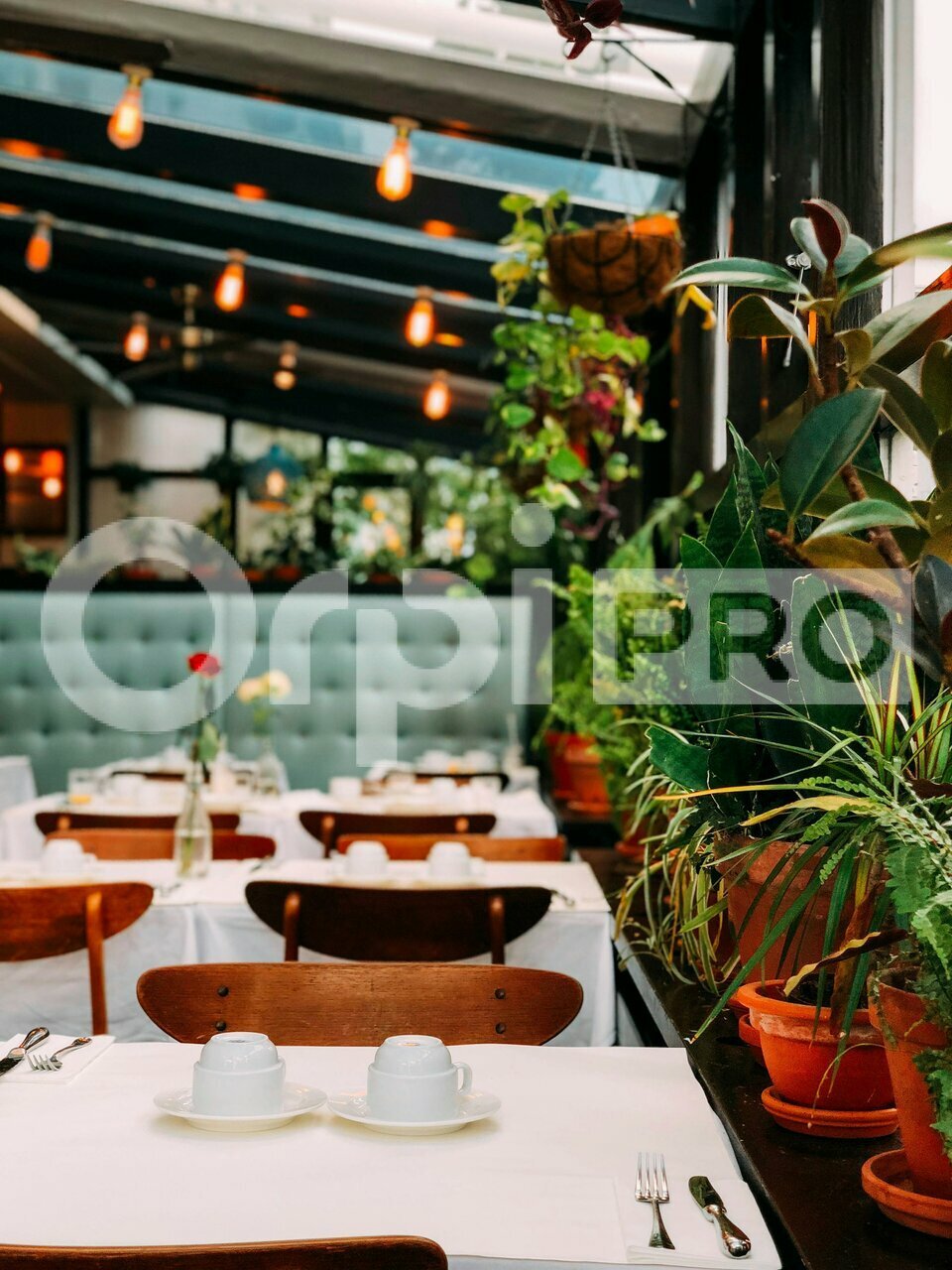 ORPI TYROSSE IMMOBILIER PRO-PCI CESSION-LOCAL COMMERCIAL-CAPBRETON-40