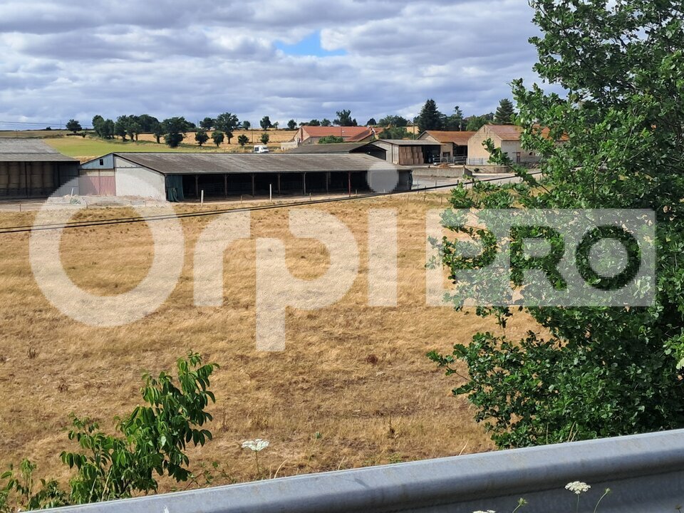 ORPI PROMISSIMO LOCATION-ENTREPOT-SAINT-VICTOR-03
