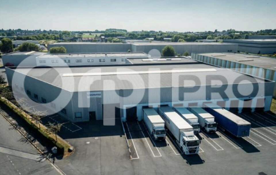 ORPI PLI ARRAS LOCATION-ENTREPOT-RONCQ-59