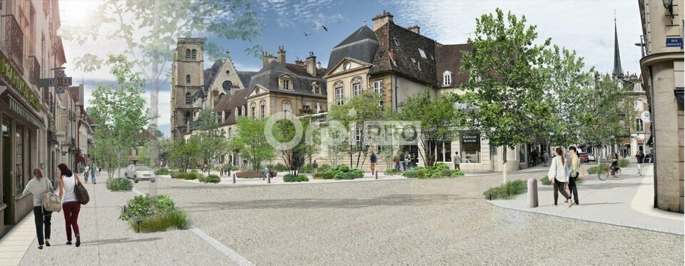 DORIS METZGER IMMOBILIER CESSION-LOCAL COMMERCIAL-DIJON-21