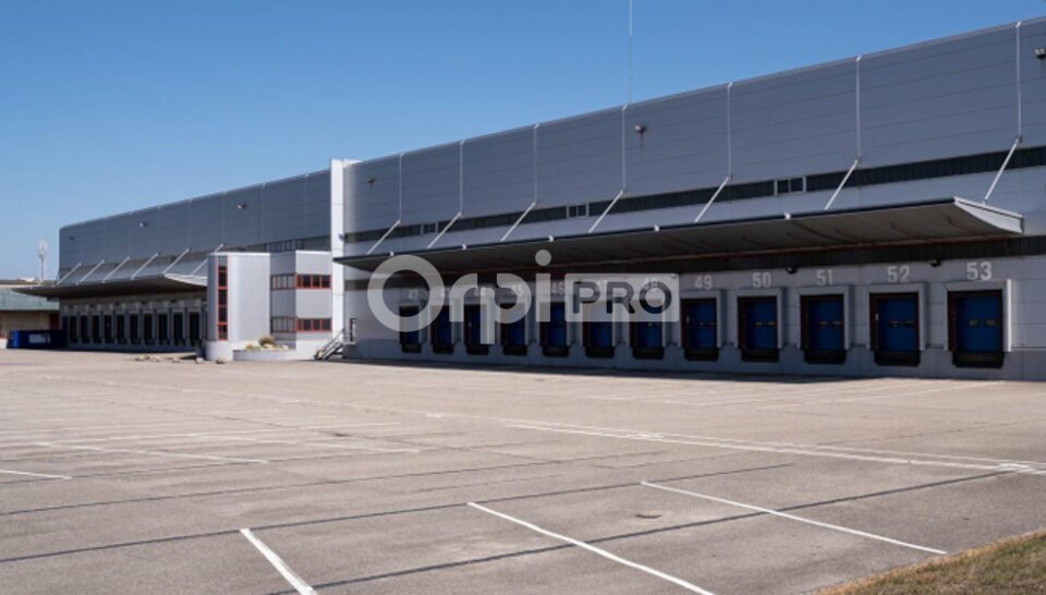 ORPI MYRIAD CONSEIL LOCATION-ENTREPOT-SAINT_QUENTIN_FALLAVIER-38
