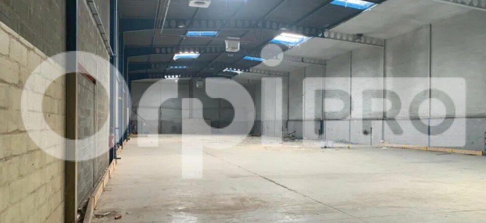 ORPI IMMO ENTRE PRO LOCATION-ENTREPOT-WISSOUS-91