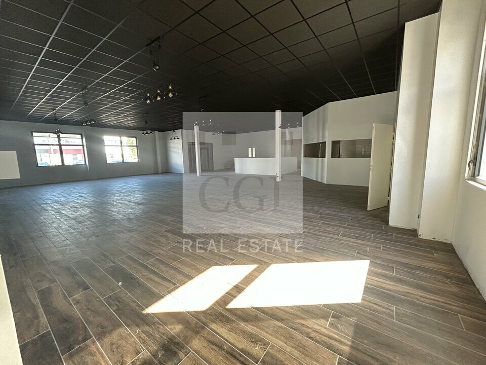 CGI LYON LOCATION-BUREAUX-DARDILLY-69