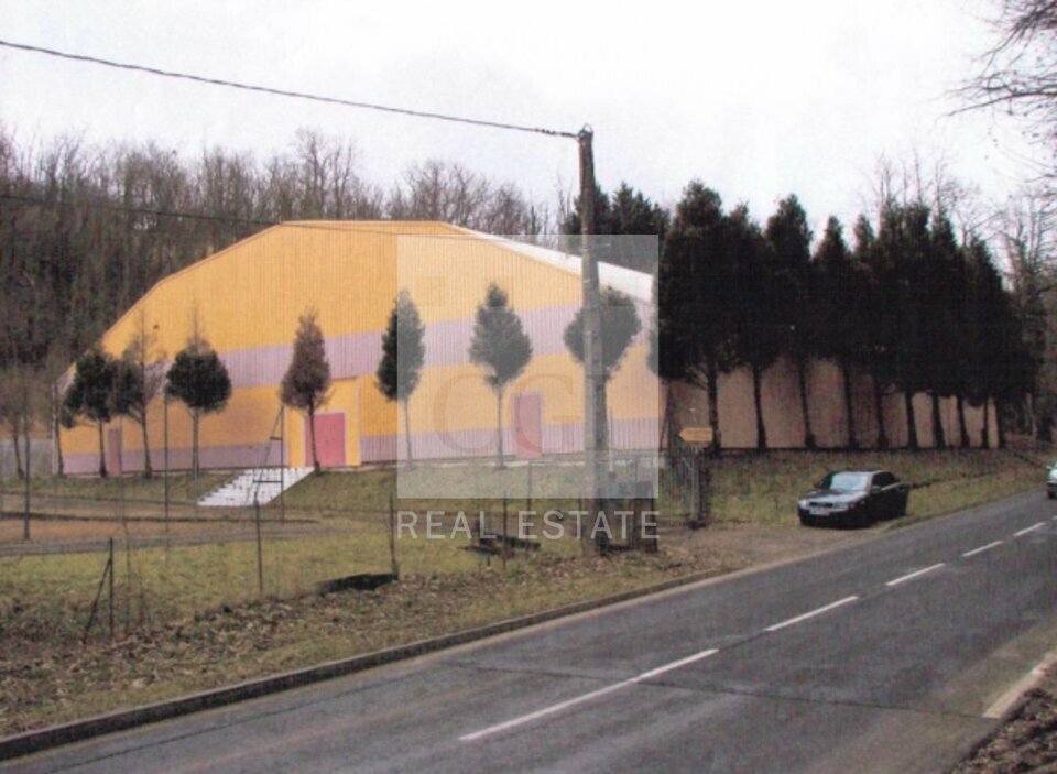 CGI LYON VENTE-LOCAL D'ACTIVITE-GENAY-69