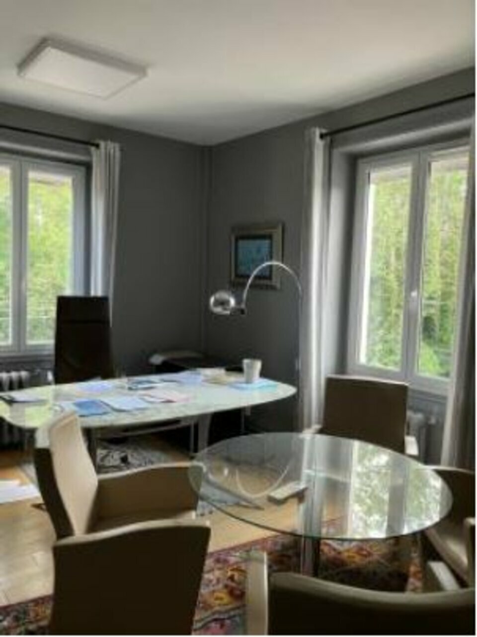 CGI LYON LOCATION-BUREAUX-FLEURIEU_SUR_SAONE-69