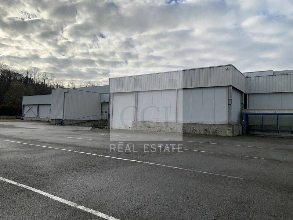 CGI LYON LOCATION-LOCAL D'ACTIVITE-CIVRIEUX_D'AZERGUES-69