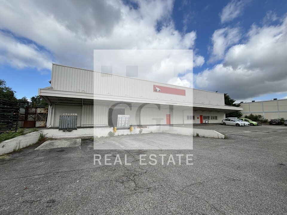 CGI LYON LOCATION-LOCAL D'ACTIVITE-VILLEURBANNE-69