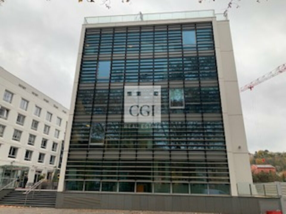 CGI LYON LOCATION-BUREAUX-LYON_9-69