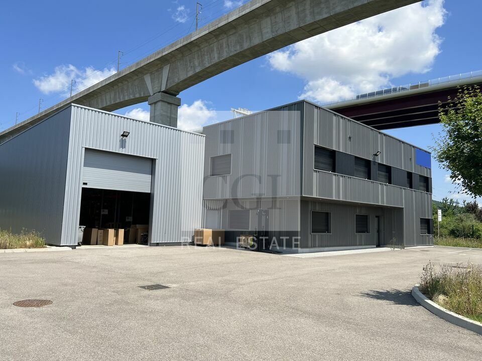 CGI LYON LOCATION-LOCAL D'ACTIVITE-LA_BOISSE-01