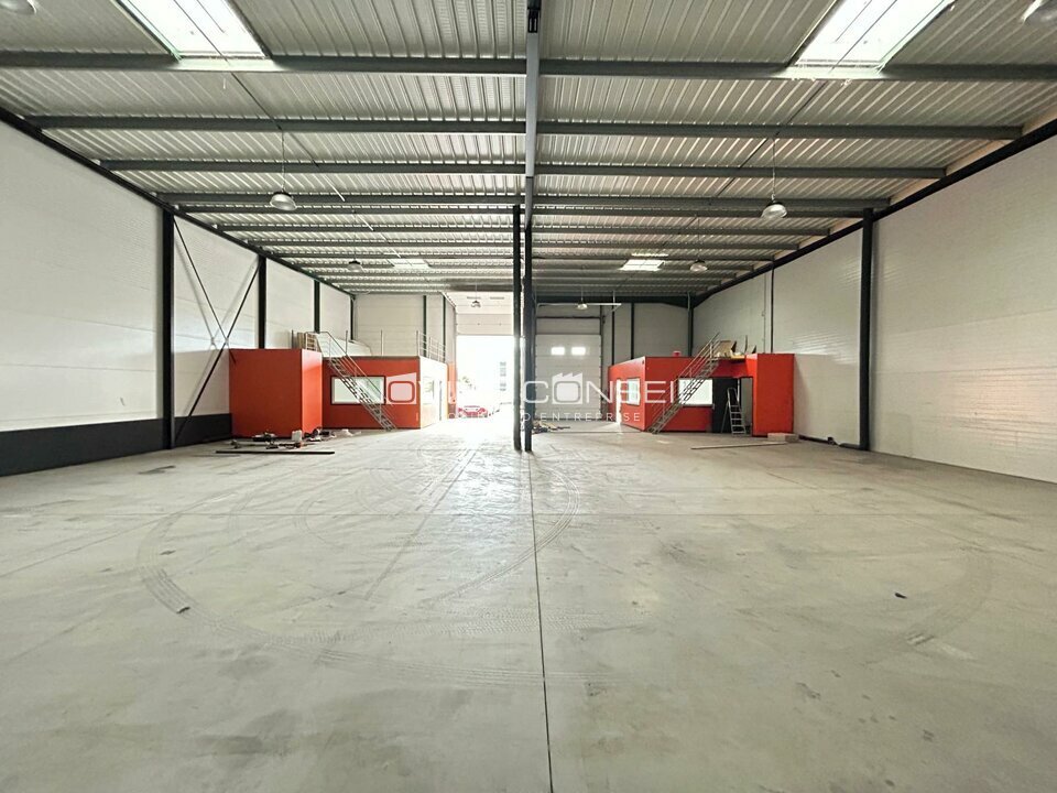 NOVILIS CONSEIL LOCATION-LOCAL D'ACTIVITE-PLAISANCE_DU_TOUCH-31