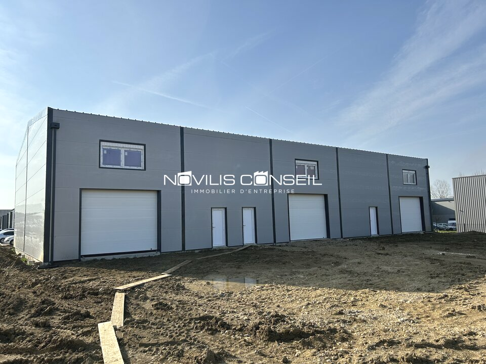 NOVILIS CONSEIL LOCATION-LOCAL D'ACTIVITE-GRISOLLES-82