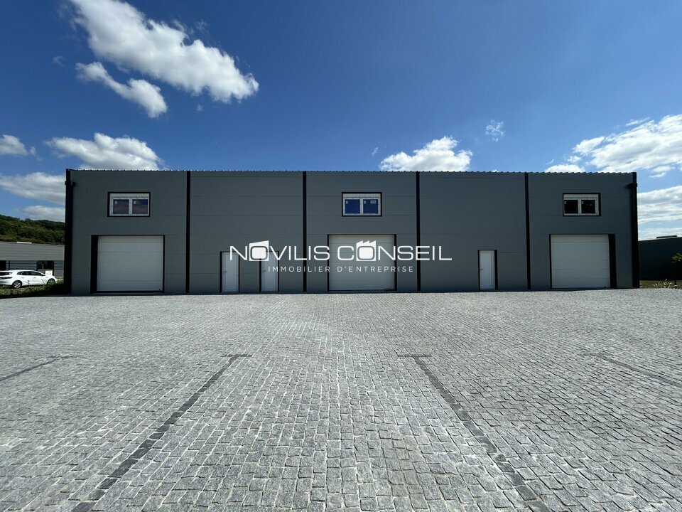 NOVILIS CONSEIL LOCATION-LOCAL D'ACTIVITE-GRISOLLES-82