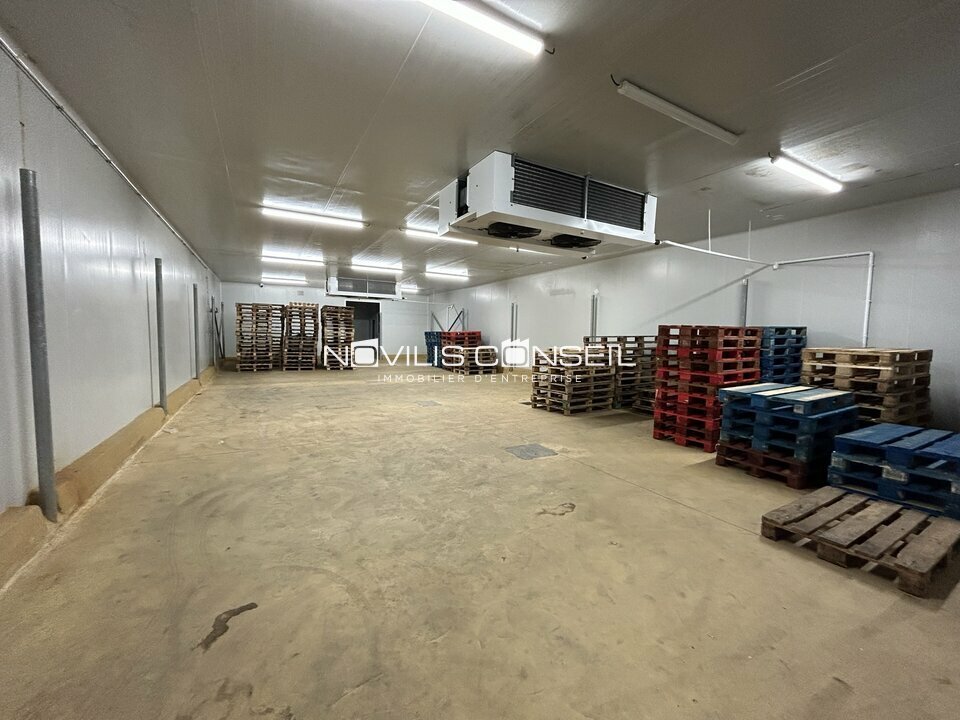 NOVILIS CONSEIL VENTE-LOCAL D'ACTIVITE-AUCAMVILLE-31