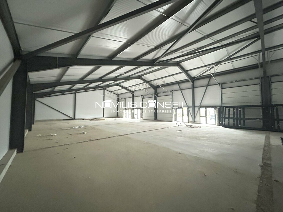 NOVILIS CONSEIL LOCATION-LOCAL D'ACTIVITE-BUZET-SUR-TARN-31