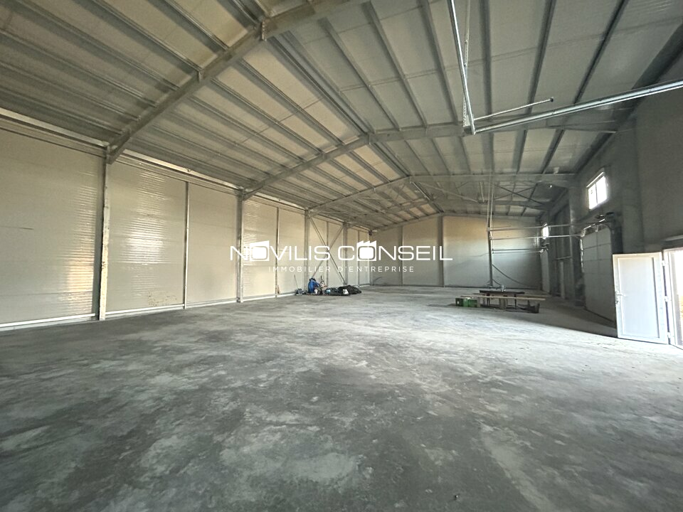 NOVILIS CONSEIL LOCATION-LOCAL D'ACTIVITE-GRISOLLES-82