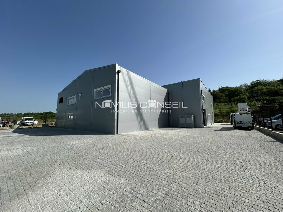 NOVILIS CONSEIL VENTE-LOCAL D'ACTIVITE-GRISOLLES-82