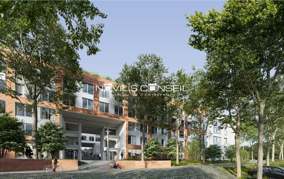 NOVILIS CONSEIL VENTE-BUREAUX-TOULOUSE-31