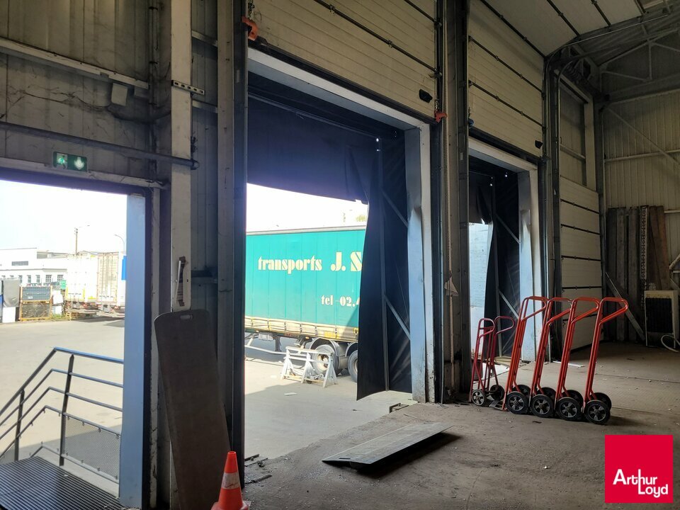 ARTHUR LOYD RENNES LOCATION-LOCAL D'ACTIVITE-LE_MANS-72