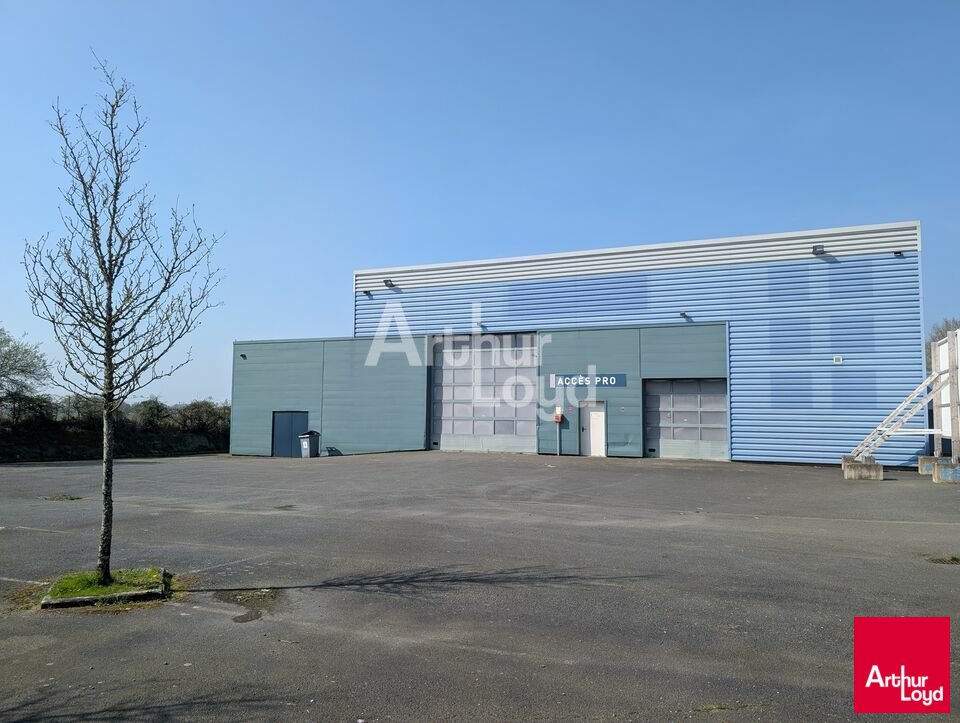 ARTHUR LOYD RENNES LOCATION-LOCAL D'ACTIVITE-VITRE-35