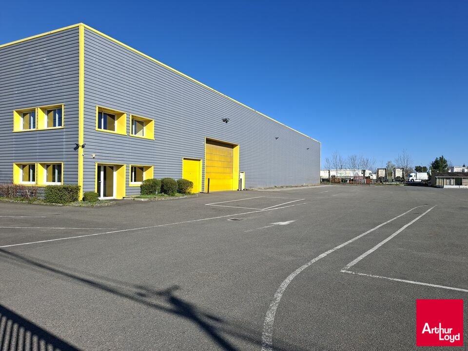 ARTHUR LOYD RENNES LOCATION-LOCAL D'ACTIVITE-CHAMPAGNE-72