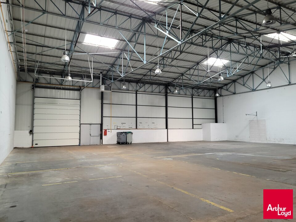 ARTHUR LOYD RENNES LOCATION-LOCAL D'ACTIVITE-LE_MANS-72