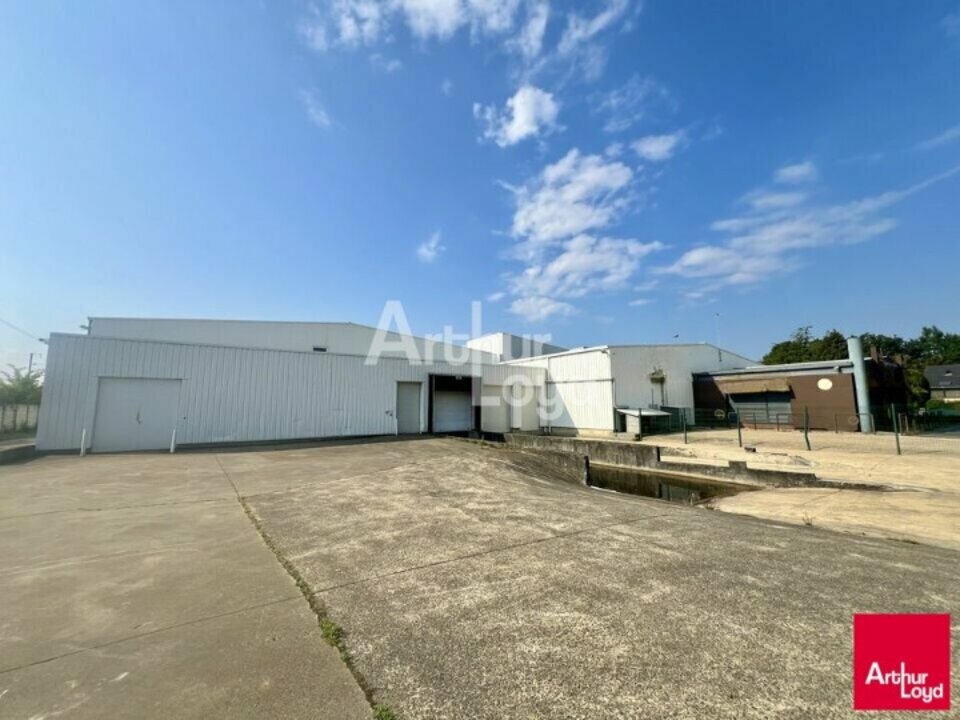 ARTHUR LOYD RENNES LOCATION-LOCAL D'ACTIVITE-BETTON-35
