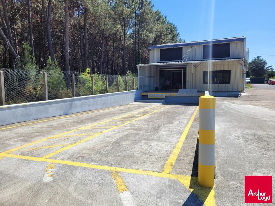 ARTHUR LOYD RENNES LOCATION-LOCAL D'ACTIVITE-GUECELARD-72