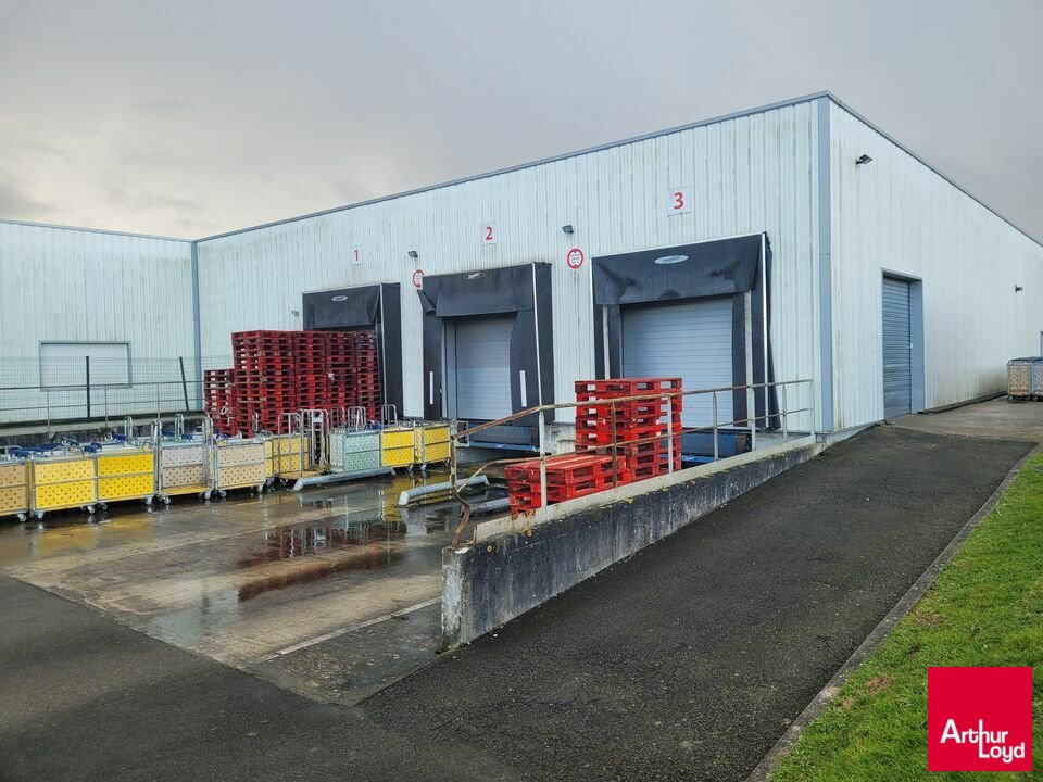 ARTHUR LOYD RENNES VENTE-LOCAL D'ACTIVITE-ALLONNES-72