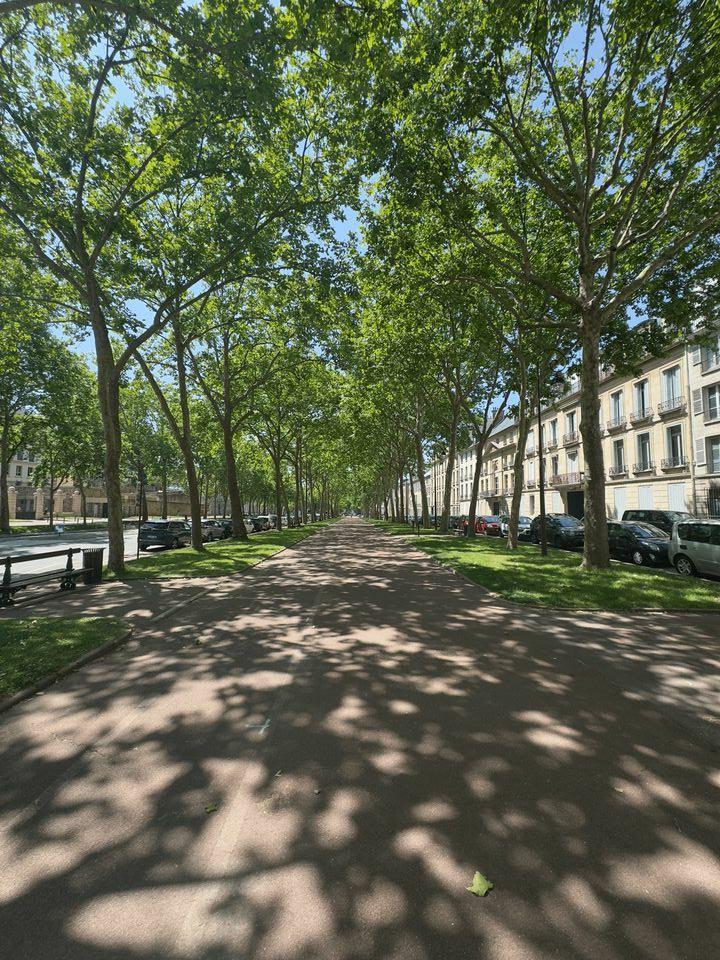 WIT VENTE-AUTRE LOCAL-VERSAILLES-78