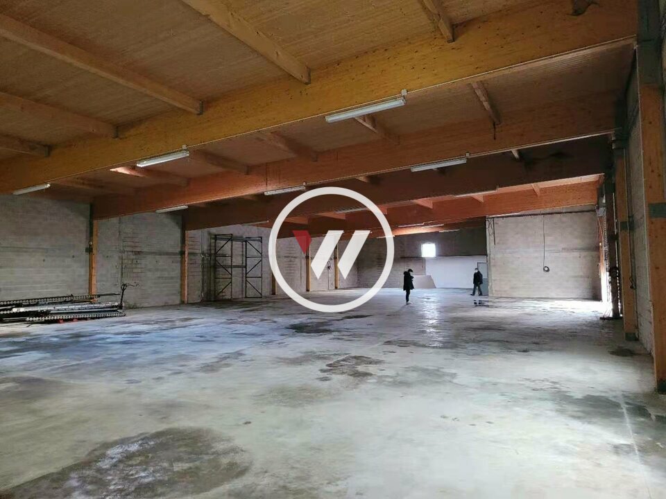 WIT VENTE-ENTREPOT-VILLENEUVE-SOUS-DAMMARTIN-77