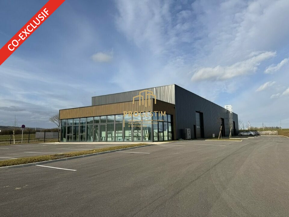 PROGESTIM LOCATION-LOCAL D'ACTIVITE-NUITS_SAINT_GEORGES-21