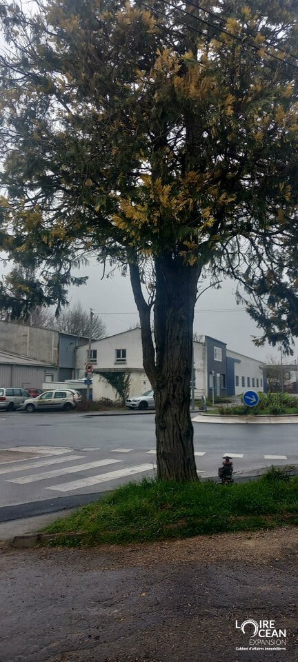 LOIRE OCEAN TRANSACTIONS LOCATION-LOCAL COMMERCIAL-NANTES-44