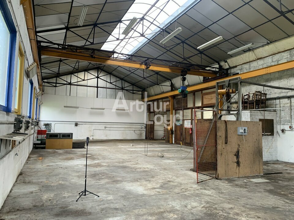 ARTHUR LOYD 2 SAVOIES LOCATION-LOCAL D'ACTIVITE-SAINT-FELIX-74