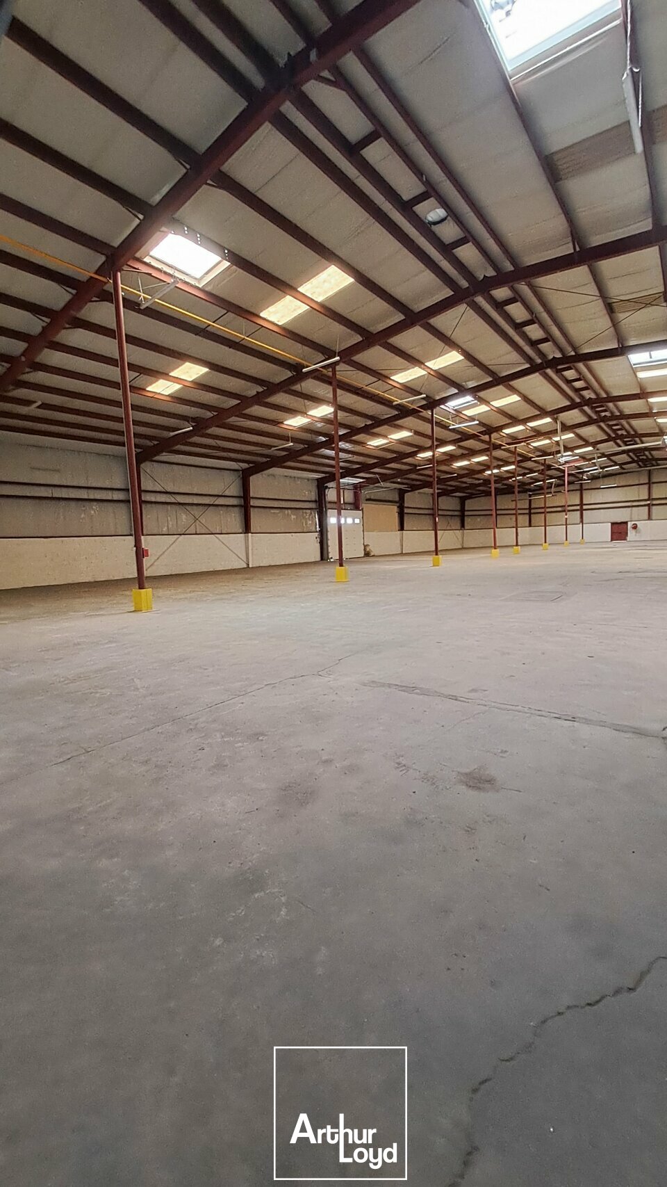 ARTHUR LOYD BRIVE LOCATION-LOCAL D'ACTIVITE-BRIVE_LA_GAILLARDE-19