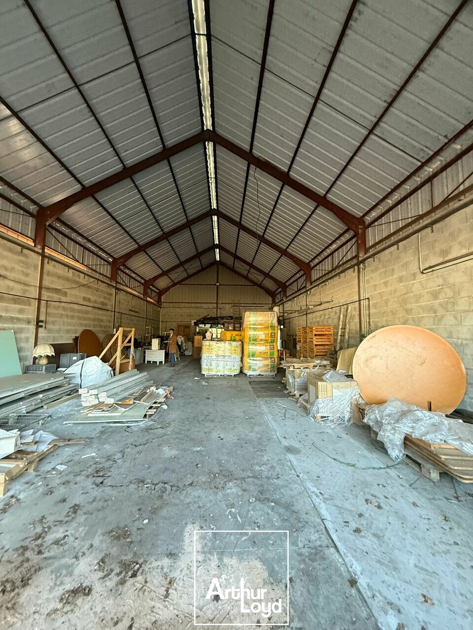 ARTHUR LOYD BRIVE LOCATION-LOCAL D'ACTIVITE-USSAC-19