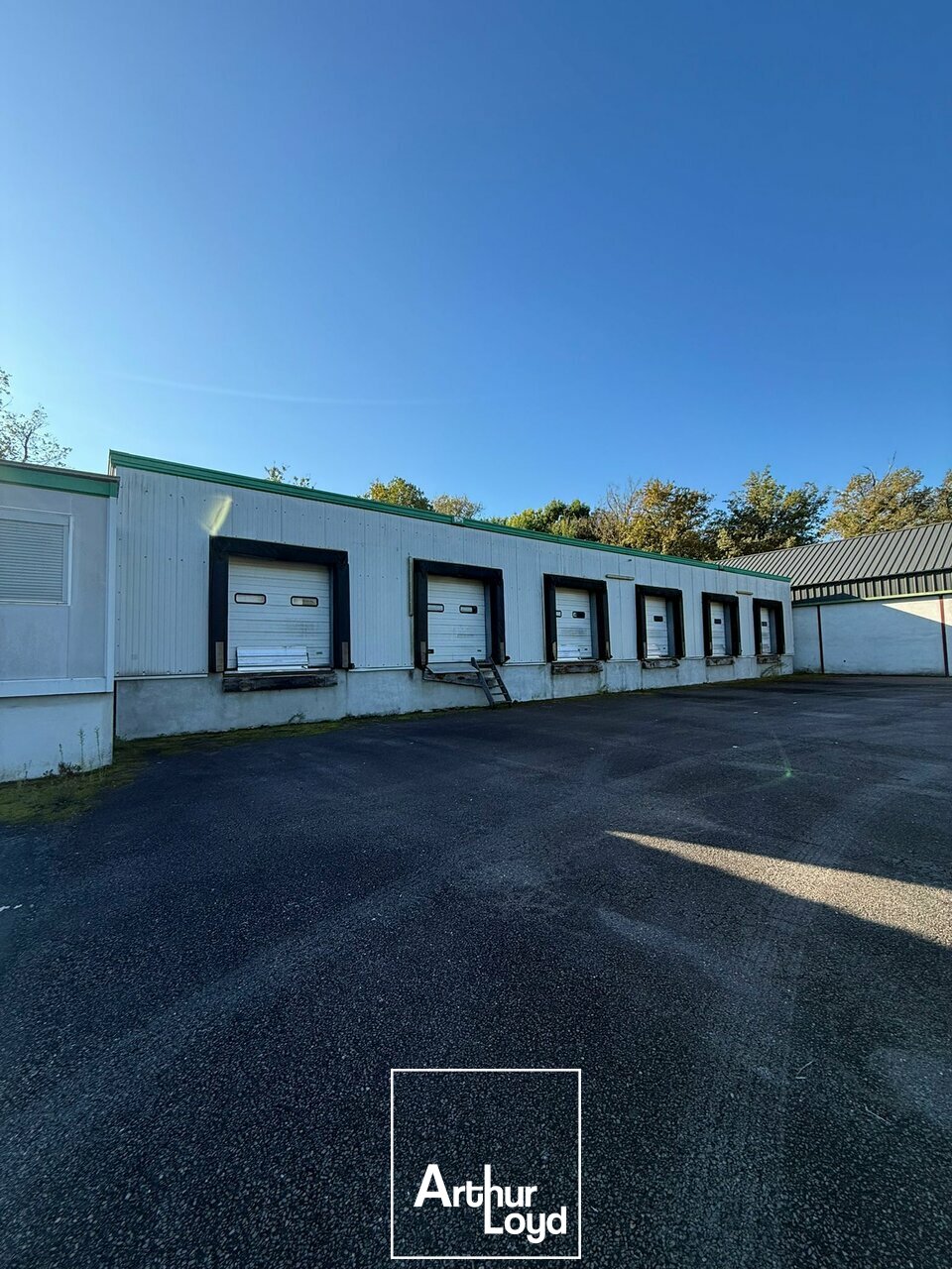 ARTHUR LOYD BRIVE LOCATION-LOCAL D'ACTIVITE-USSAC-19