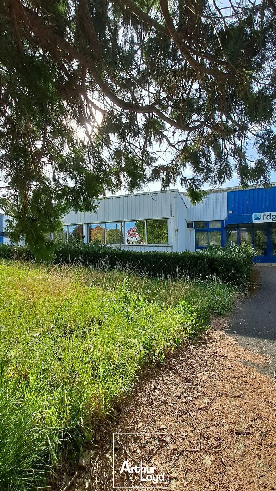 OME IMMOBILIER VENTE-LOCAL D'ACTIVITE-OBJAT-19