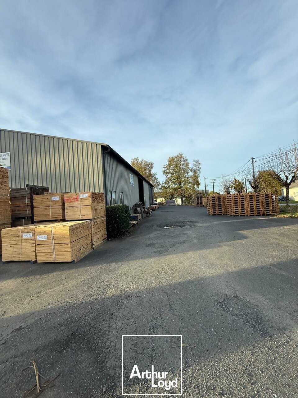 ARTHUR LOYD BRIVE VENTE-LOCAL D'ACTIVITE-UZERCHE-19