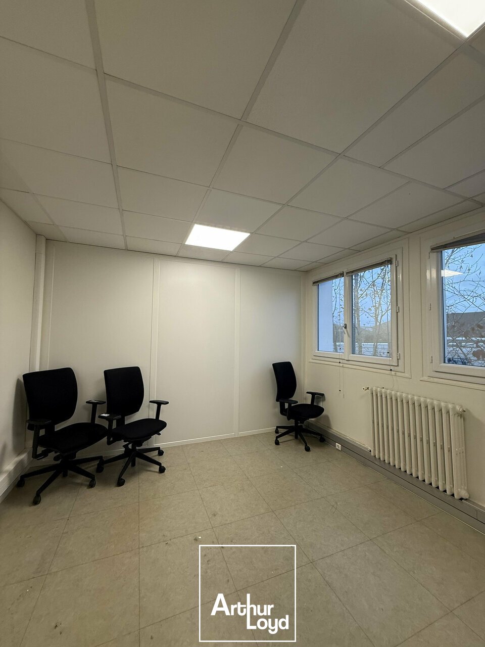 ARTHUR LOYD BRIVE LOCATION-BUREAUX-MALEMORT-19