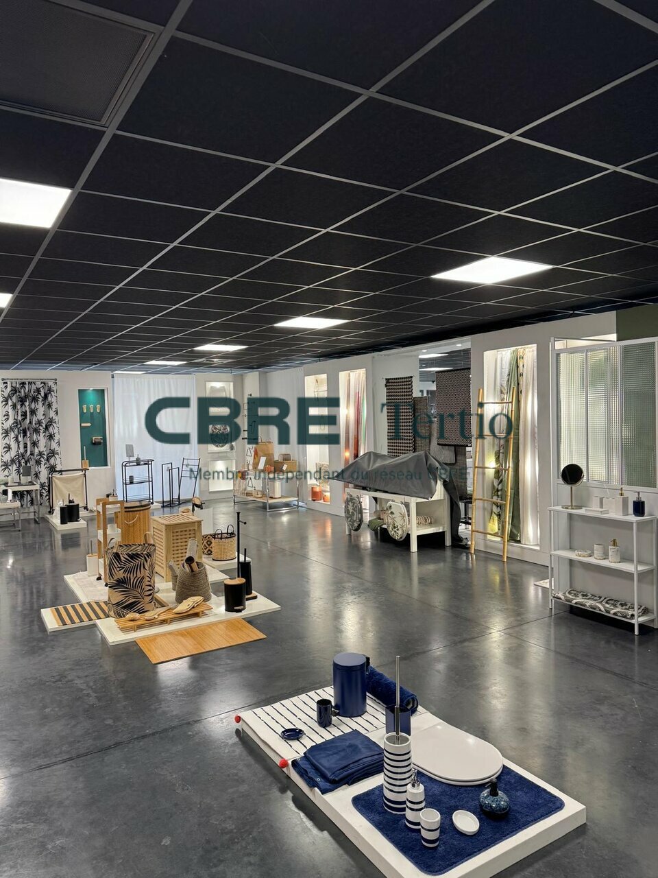 CBRE Tertio LOCATION-LOCAL D'ACTIVITE-TOURS-37