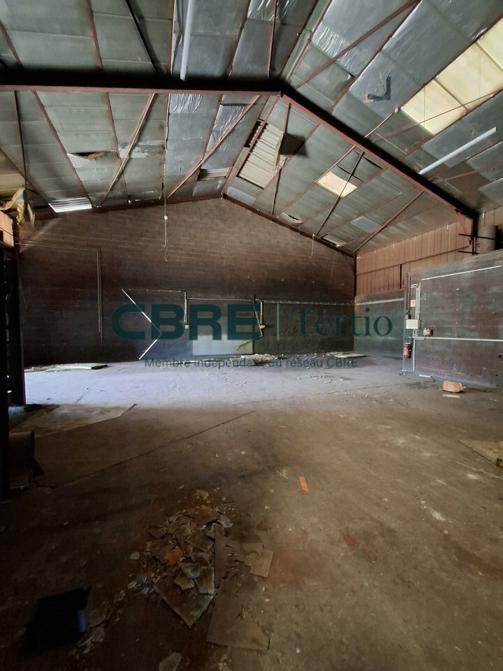 CBRE Tertio VENTE-LOCAL D'ACTIVITE-NAZELLES-NEGRON-37